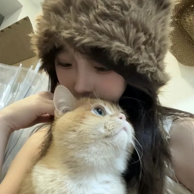 纽约遇到爱